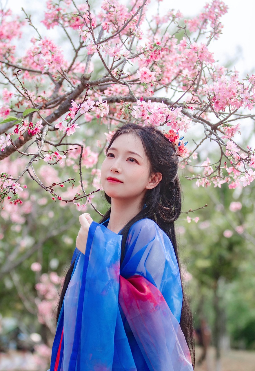 asian, woman, hanfu, portrait, girl, chinese hanfu, antiquity, traditional clothing, chinese style, ancient clothing, cherry blossoms, spring, beautiful, flowers